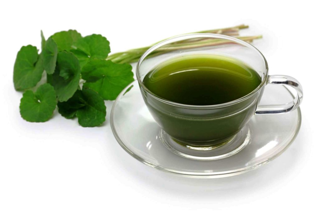 Готу Кола: полезные свойства растения и применение