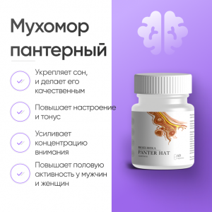 Мухомор пантерный (Amanita Pantherina) 60 капсул для стимуляции обмена веществ фото