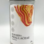 Веселка сушеная тела – общеукрепляющее средство фото 1 уменьшенное