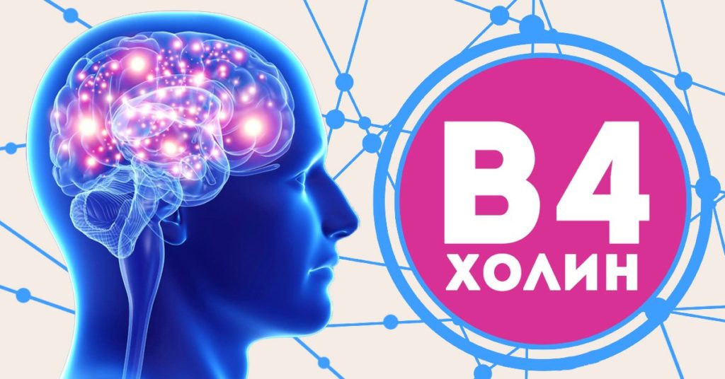 Что такое холин, для чего он нужен организму