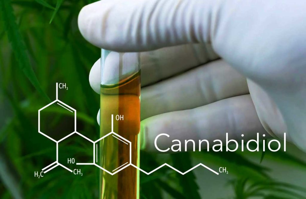 Каннабидиол CBD Oil: что это такое и его значение