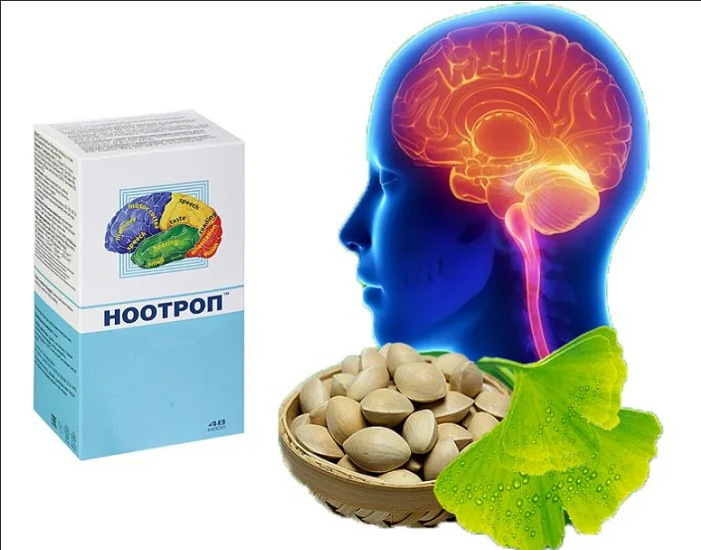 Ноотропы - полезные лекарственные средства, улучшающие функции мозга