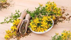 Зверобой трава (рутин 2,5%) 50гр фото