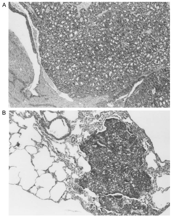 Пептид Эпиталон – передовой «антиэйджинг» препарат, средство для улучшения качества кожи, нормализации работы эндокринной системы, регуляции циркадных ритмов и повышения иммунитета.