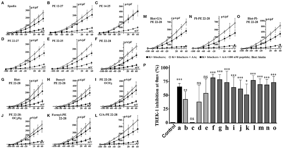 Пептид PE 22-28 – передовой «антидепрессант», средство для улучшения когнитивных функций, регуляции нервной системы и повышения стрессоустойчивости.