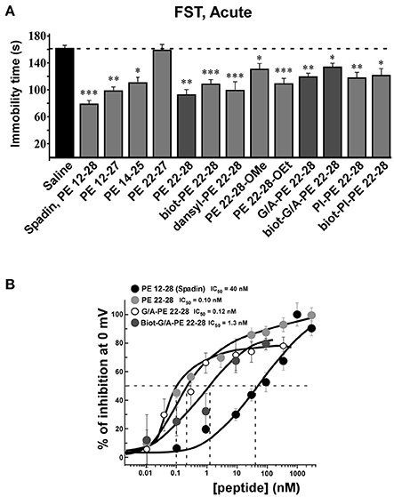 Пептид PE 22-28 – передовой «антидепрессант», средство для улучшения когнитивных функций, регуляции нервной системы и повышения стрессоустойчивости.