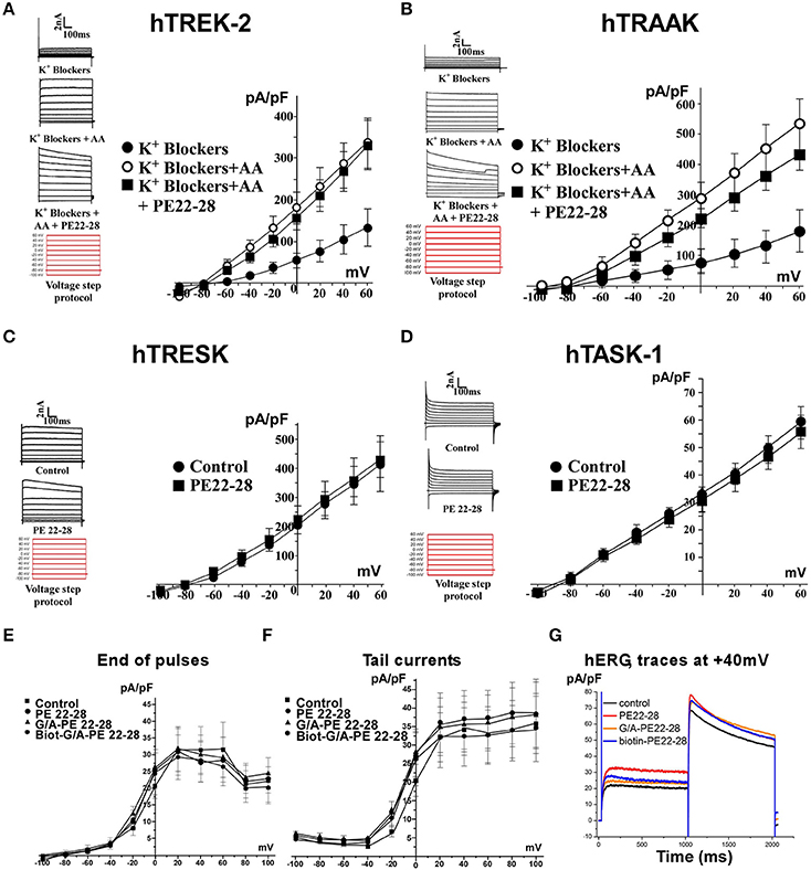 Пептид PE 22-28 – передовой «антидепрессант», средство для улучшения когнитивных функций, регуляции нервной системы и повышения стрессоустойчивости.