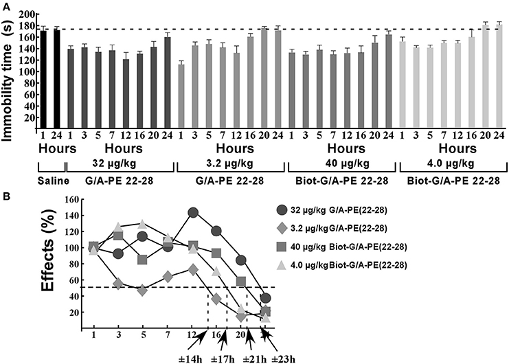 Пептид PE 22-28 – передовой «антидепрессант», средство для улучшения когнитивных функций, регуляции нервной системы и повышения стрессоустойчивости.