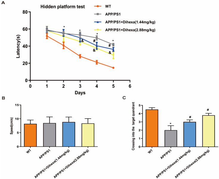 DIHEXA - революционный пептид, предназначенный для улучшения когнитивных функций, восстановления нервных клеток, усиления нейропластичности и поддержки работы мозга.