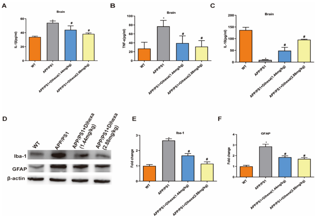 DIHEXA - революционный пептид, предназначенный для улучшения когнитивных функций, восстановления нервных клеток, усиления нейропластичности и поддержки работы мозга.