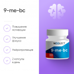9-me-bc фото 4 уменьшенное